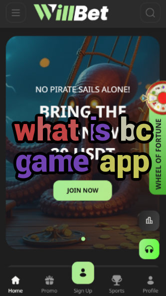 What is BC Game App? Features & Download-vz72fvrf.com