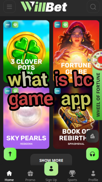 What is BC Game App? Features & Download-vz72fvrf.com